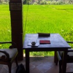 Ups and downs: One day and one night in Bali‘s Ubud