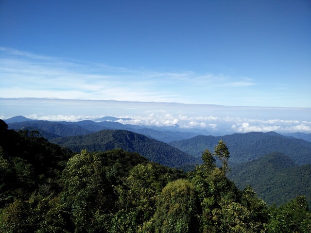dont-worry-just-travel-travel-guide-cameron-highlands-malaysia-mount-brinchang-amazing-view