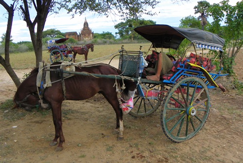 bagan-luxury-horsecart 100 1247